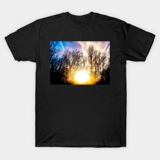 Sun setting behind trees T-Shirt